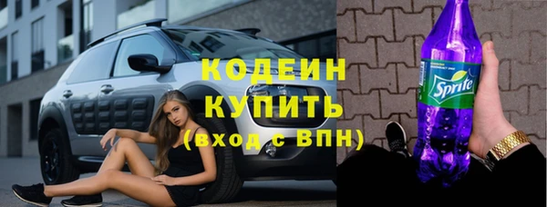 скорость Вяземский