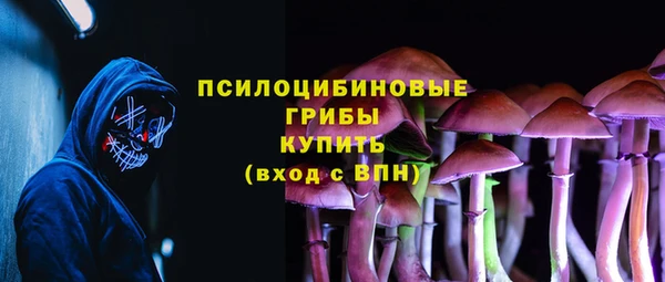 скорость Вяземский