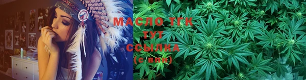 скорость Вяземский