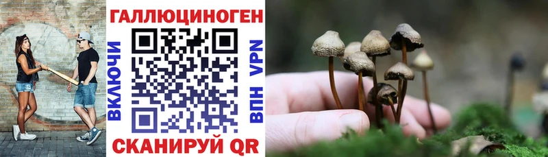 Купить  Асбест  Псилоцибиновые грибы MAGIC MUSHROOMS 